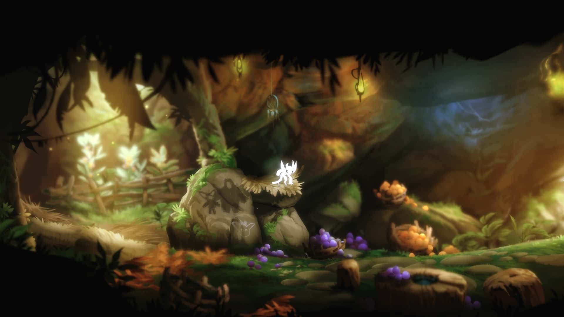 奥日与黑暗森林 Ori and the Blind Forest 中文版封面